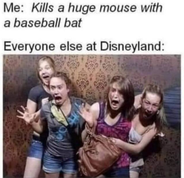Redneck Memes (32 pics)
