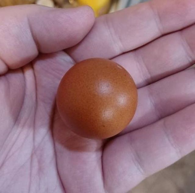Unusual Finds (36 pics)