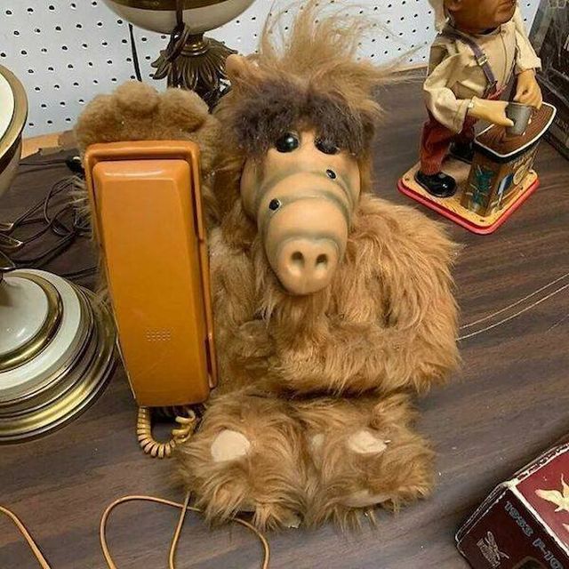 Weird Finds In Thrift Shops (48 pics)