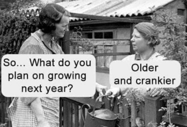 Adulthood Memes (24 pics)