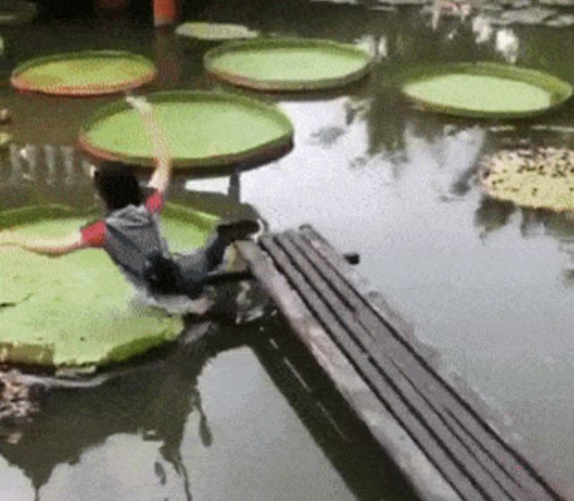 Acid GIFs, April 27 (25 gifs)