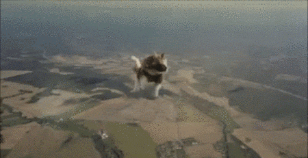 Acid GIFs, April 28 (25 gifs)