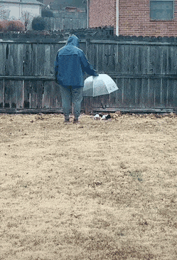 Acid GIFs, April 28 (25 gifs)