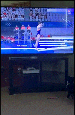 Acid GIFs, April 28 (25 gifs)
