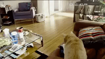 Acid GIFs, April 28 (25 gifs)