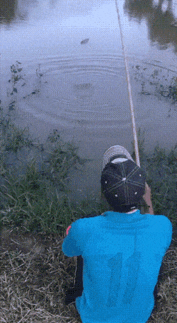 Acid GIFs, April 28 (25 gifs)