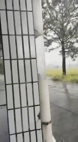 Acid GIFs, April 28 (25 gifs)