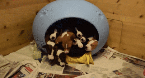 Acid GIFs, April 28 (25 gifs)