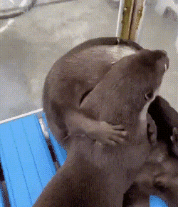 Acid GIFs, April 28 (25 gifs)