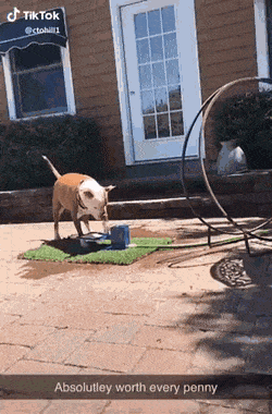 Acid GIFs, April 28 (25 gifs)
