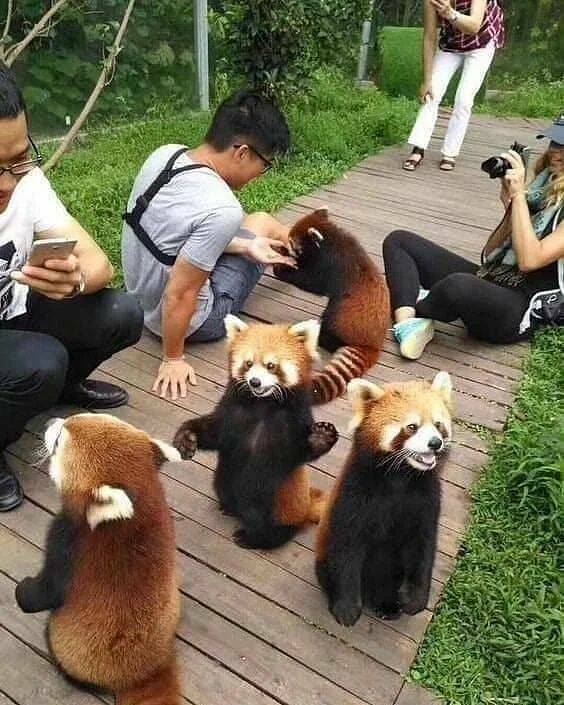 Daily Pictures. Part 2 (67 pics)
