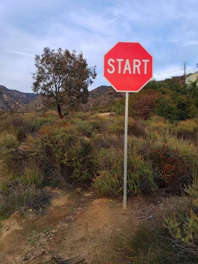 Weird Things (25 pics)