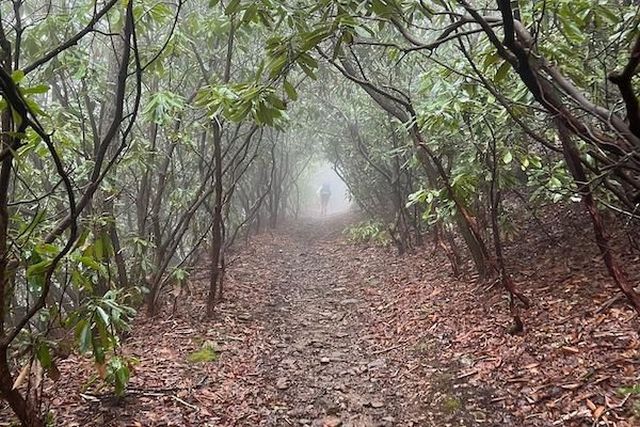 Beautiful Nature (22 pics)