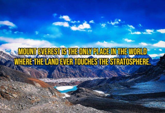 Random Facts (29 pics)