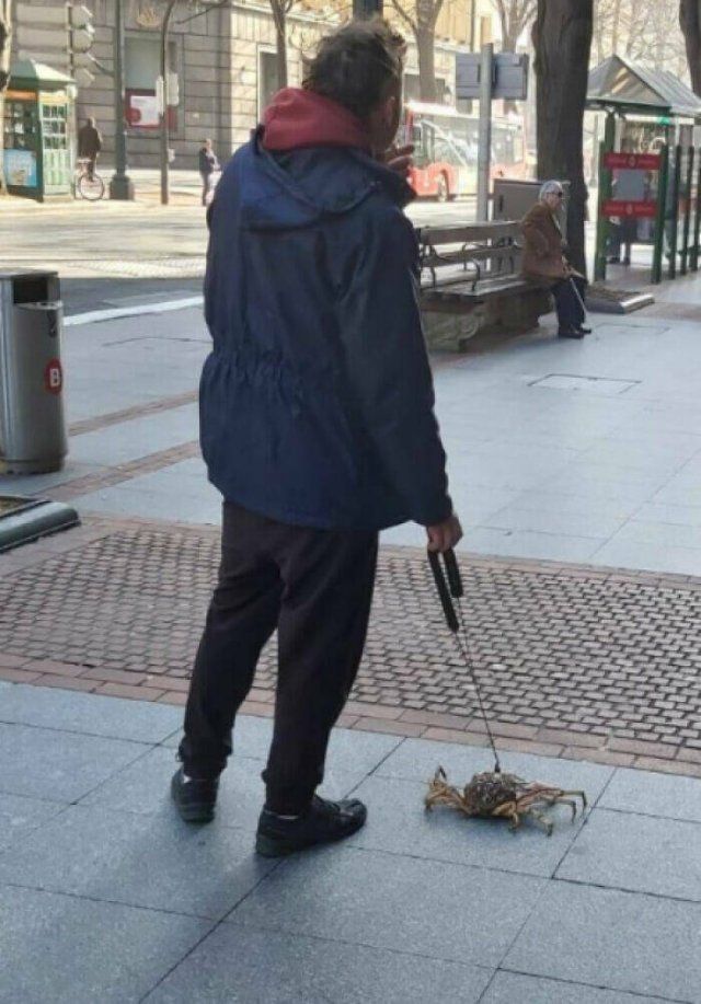 Weird Finds And Situations (49 pics)