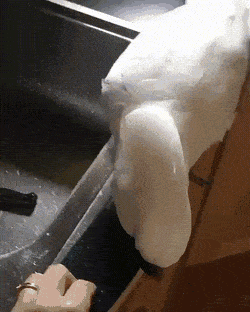Acid GIFs, May 6 (25 gifs)