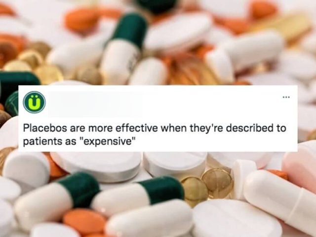 Random Facts (25 pics)