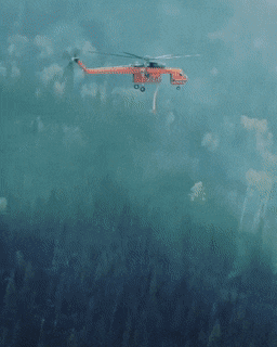 Acid GIFs, May 10 (25 gifs)