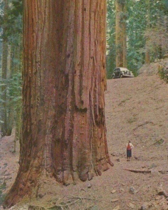 Very Big Things (40 pics)