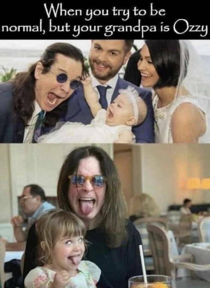 Daily Pictures. Part 2 (61 pics)