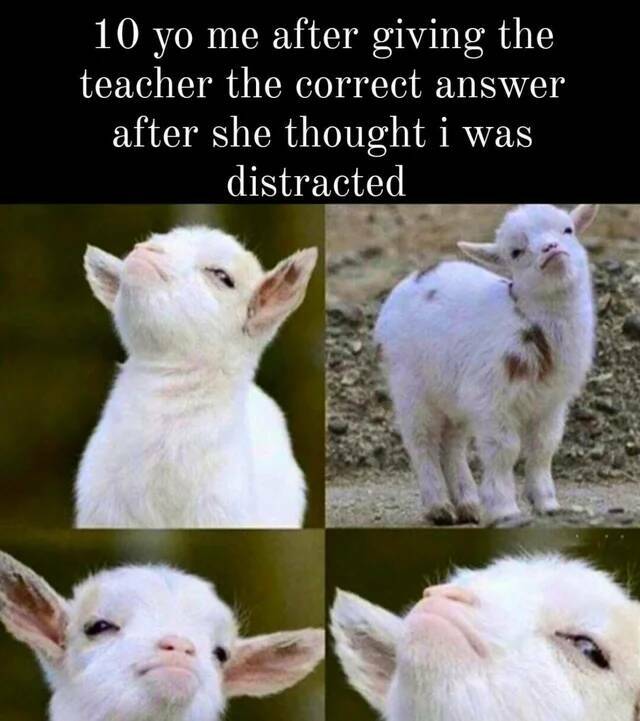 Daily Pictures. Part 2 (61 pics)