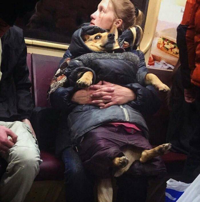 Daily Pictures. Part 2 (61 pics)