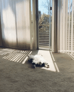 Acid GIFs, May 13 (25 gifs)