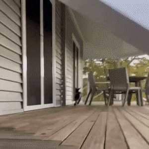 Acid GIFs, May 13 (25 gifs)