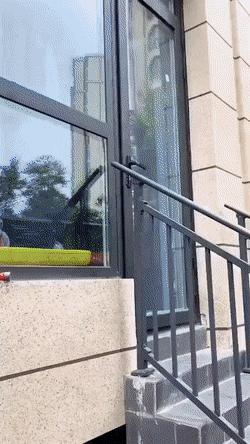 Acid GIFs, May 13 (25 gifs)