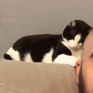 Acid GIFs, May 16 (25 gifs)