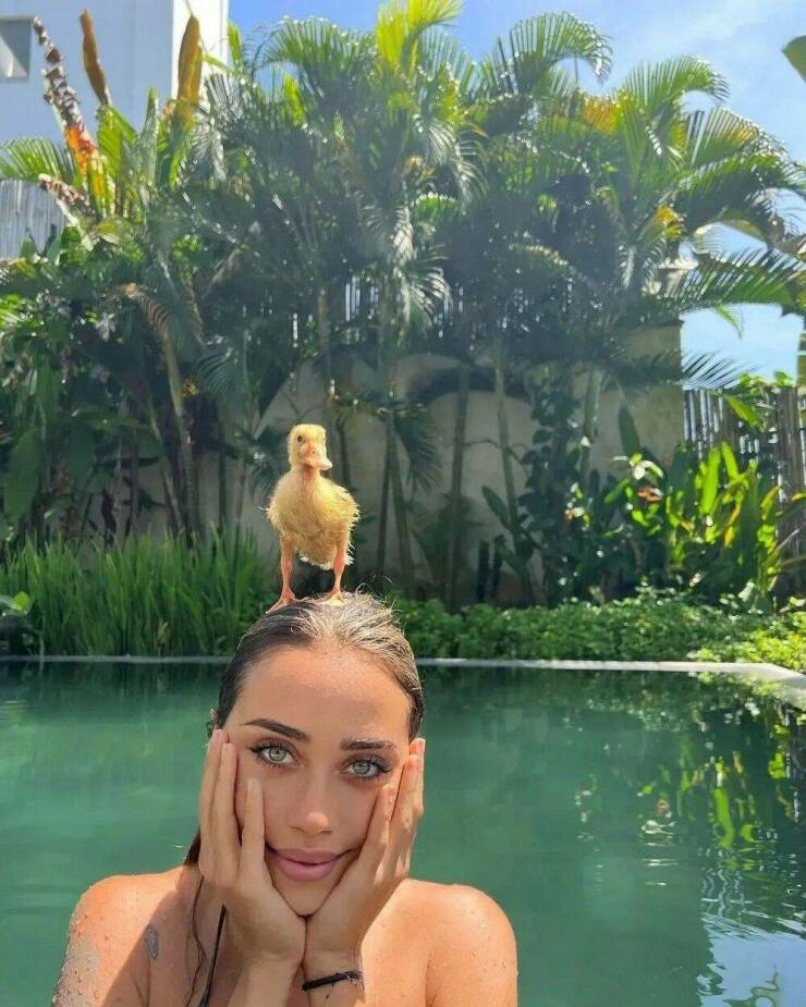 Daily Pictures. Part 1 (68 pics)