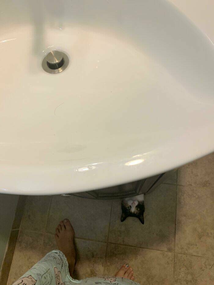 Daily Pictures. Part 1 (68 pics)