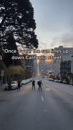 Acid GIFs, May 18 (25 gifs)