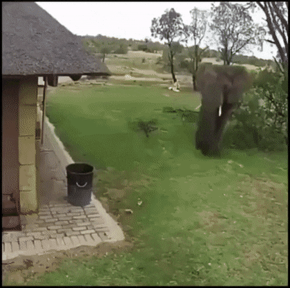 Acid GIFs, May 18 (25 gifs)