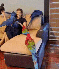Acid GIFs, May 18 (25 gifs)