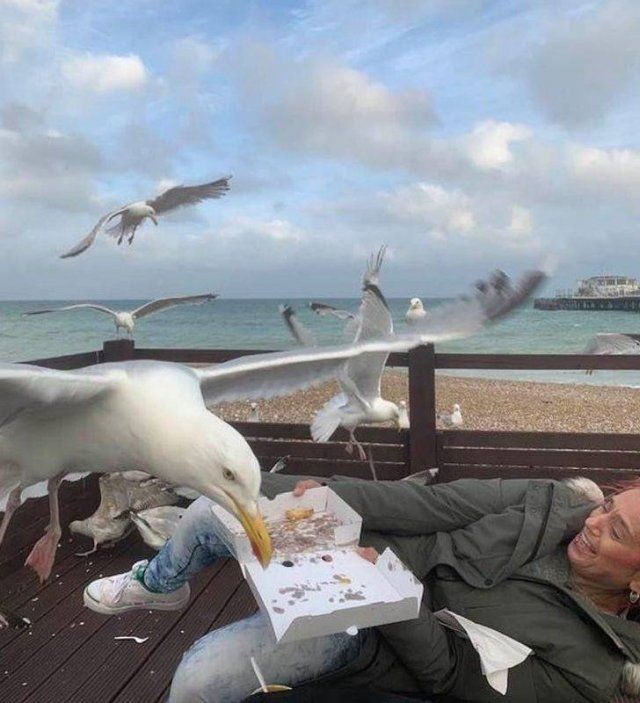 Right Moment (17 pics)
