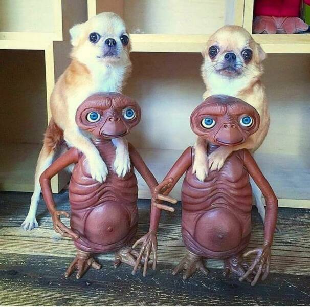 Daily Pictures. Part 1 (66 pics)