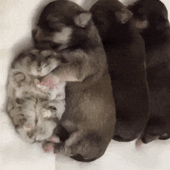 Acid GIFs, May 23 (25 gifs)