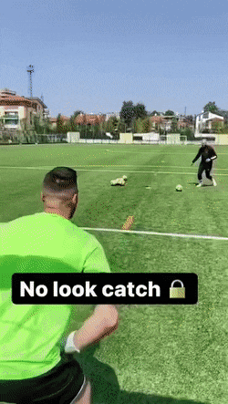 Acid GIFs, May 23 (25 gifs)