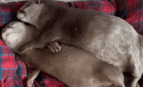 Acid GIFs, May 23 (25 gifs)