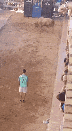 Acid GIFs, May 23 (25 gifs)