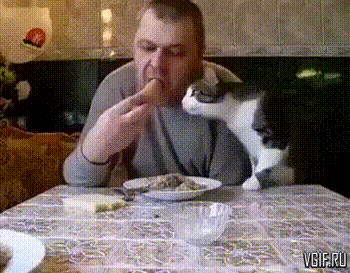 Acid GIFs, May 23 (25 gifs)