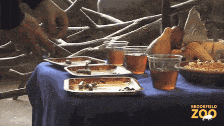 Acid GIFs, May 23 (25 gifs)