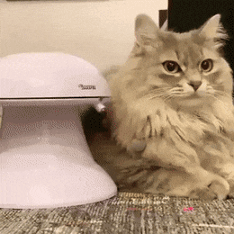 Acid GIFs, May 23 (25 gifs)