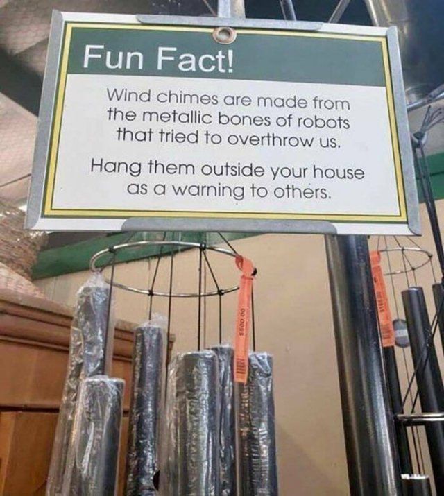 Funny Signs (35 pics)