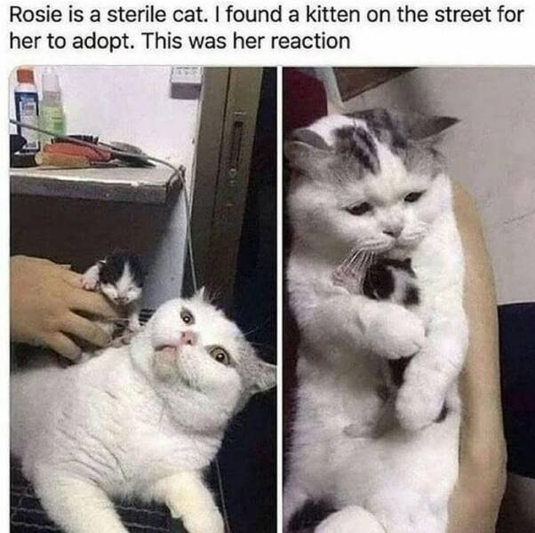 Daily Pictures. Part 1 (79 pics)