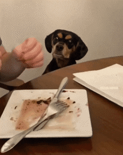 Acid GIFs, May 24 (25 gifs)