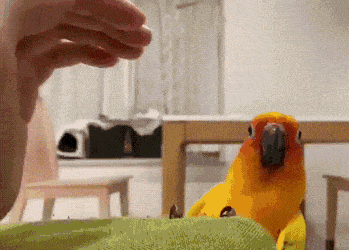 Acid GIFs, May 24 (25 gifs)