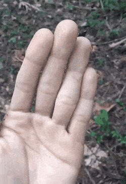 Acid GIFs, May 24 (25 gifs)