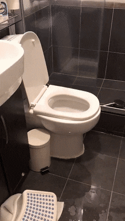 Acid GIFs, May 24 (25 gifs)